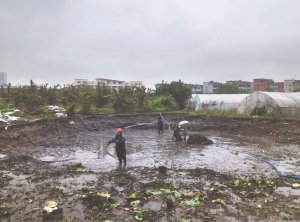 泊头河道鱼塘清淤